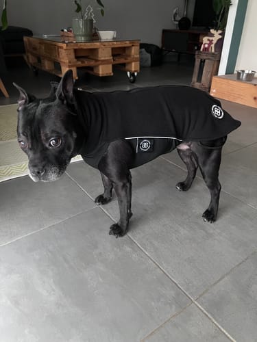 Customer photo review of Dog Fleece With Zip - Black