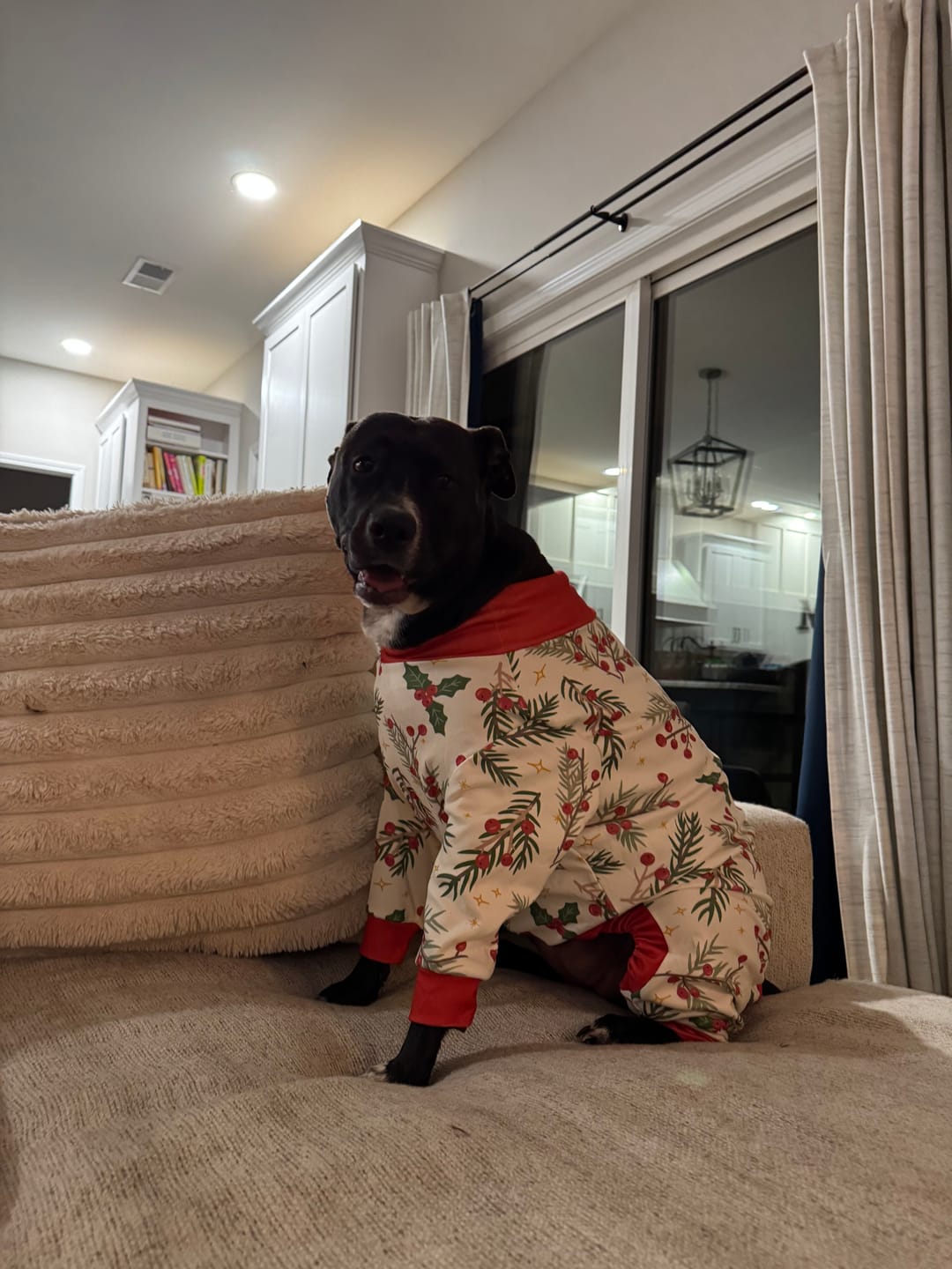 Customer photo review of Dog Christmas Pajama - Candy Cane