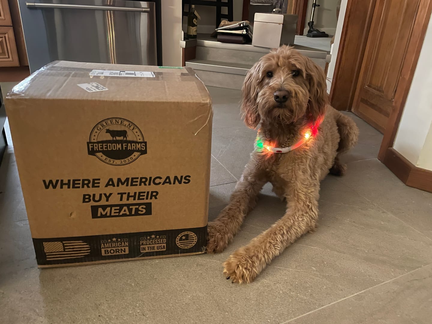 Customer photo review of WOOF WOOF BOX