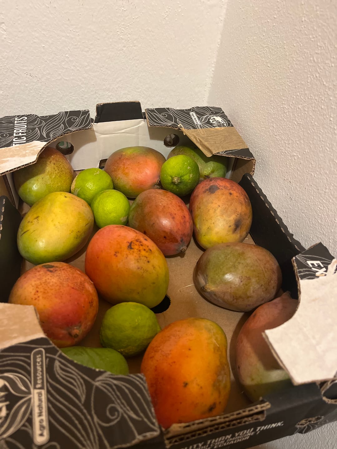 Customer photo review of Mango Keitt von Julian Sonderaktion % 4kg Box