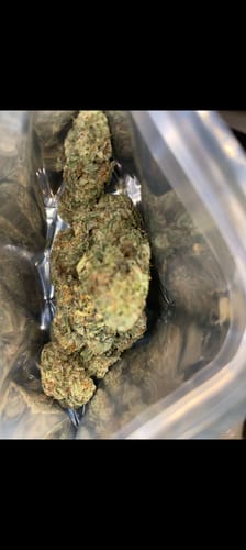 Customer photo review of Acapulco Gold THCA Flower