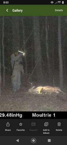 Customer photo review of Mast Magnet - Deer Attractant