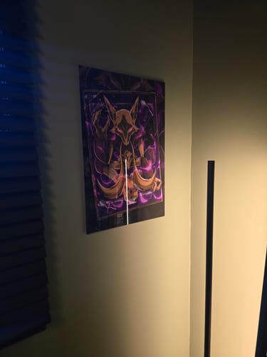 Customer photo review of Magic Evolution Plexi Glass Wall Art