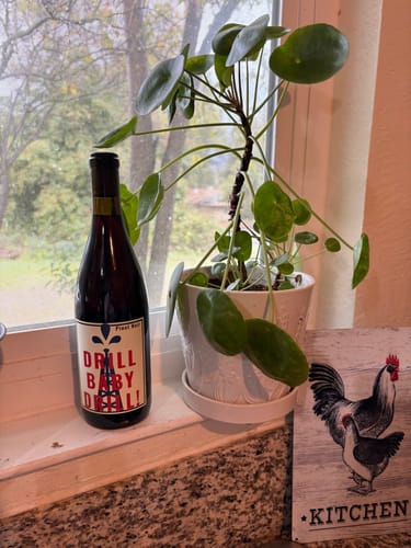 Customer photo review of Drill Baby Drill Pinot Noir