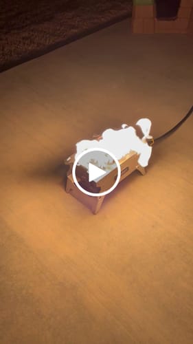 Customer video review of The Howl R1