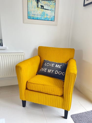 Customer photo review of Fabric Paint -- Mustard Yellow