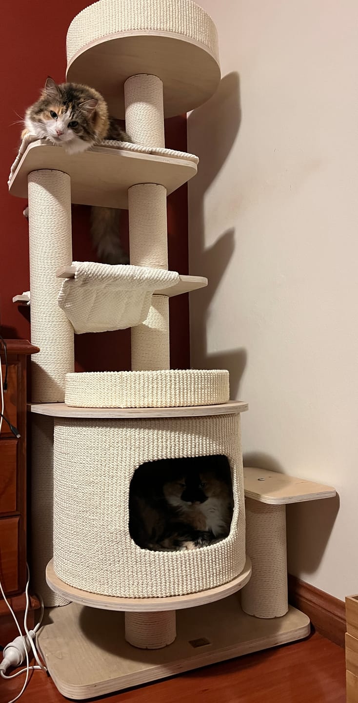 Customer photo review of Michu Luna Multi-Layer Solid Wood Cat Nest Tree