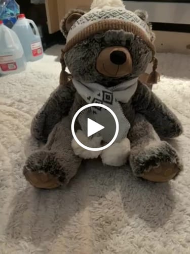 Customer video review of EVA TEDDY BEAR WINTER