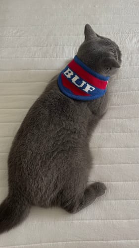 Customer photo review of Buffalo Knit Bandana