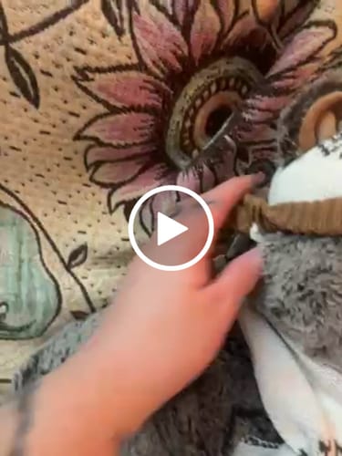 Customer video review of EVA TEDDY BEAR WINTER
