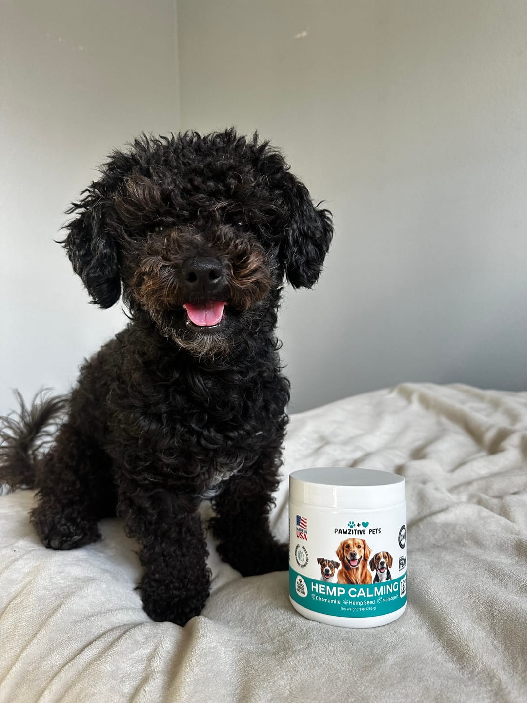 Customer photo review of Hemp Calming Chews for Dogs – 120 Soft Chews