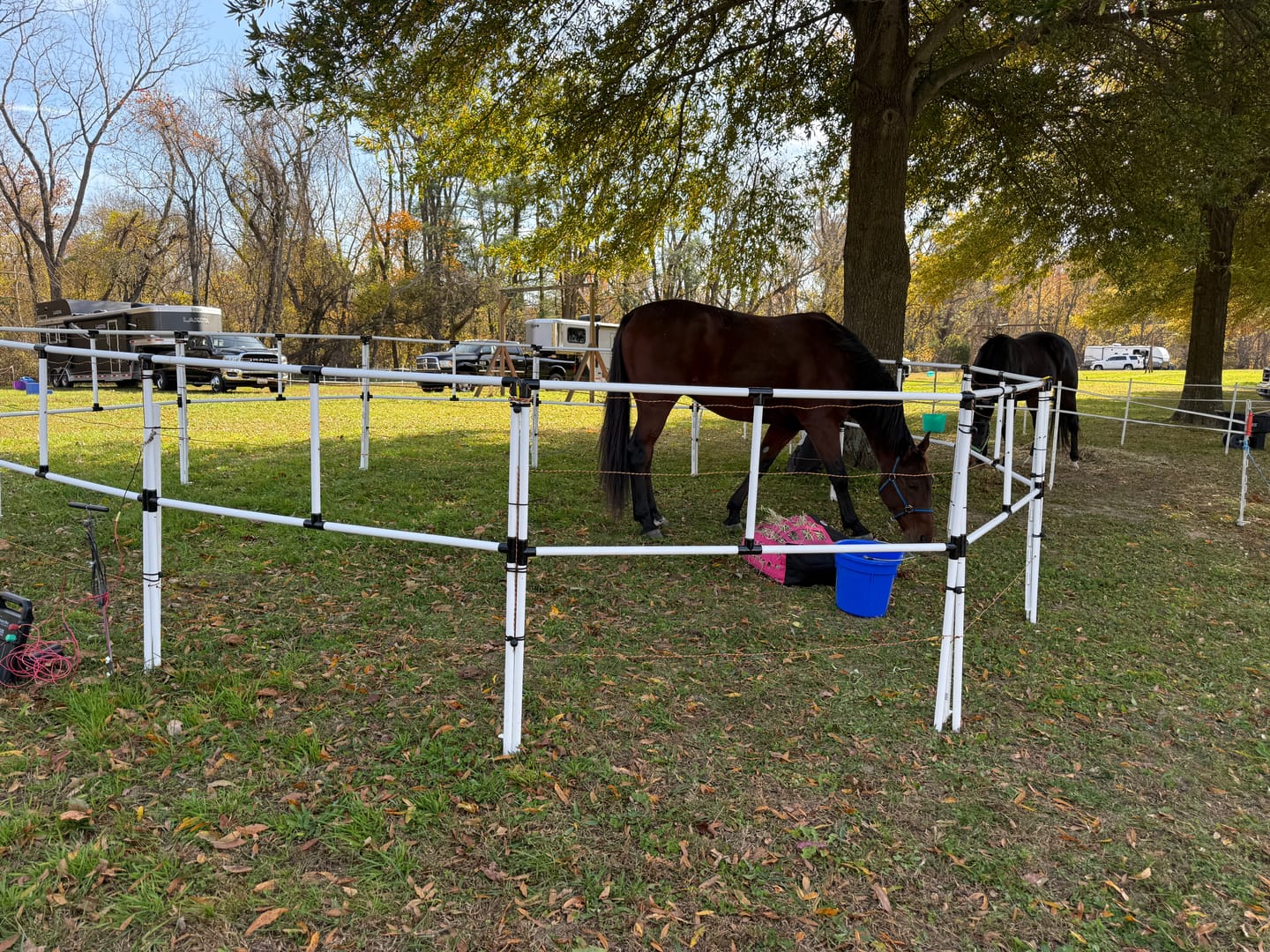 Customer photo review of Ready Made Portable Electric Horse Corral Fencing: (Electric EconoLine 10+2=12 Panels; 2 Rails)
