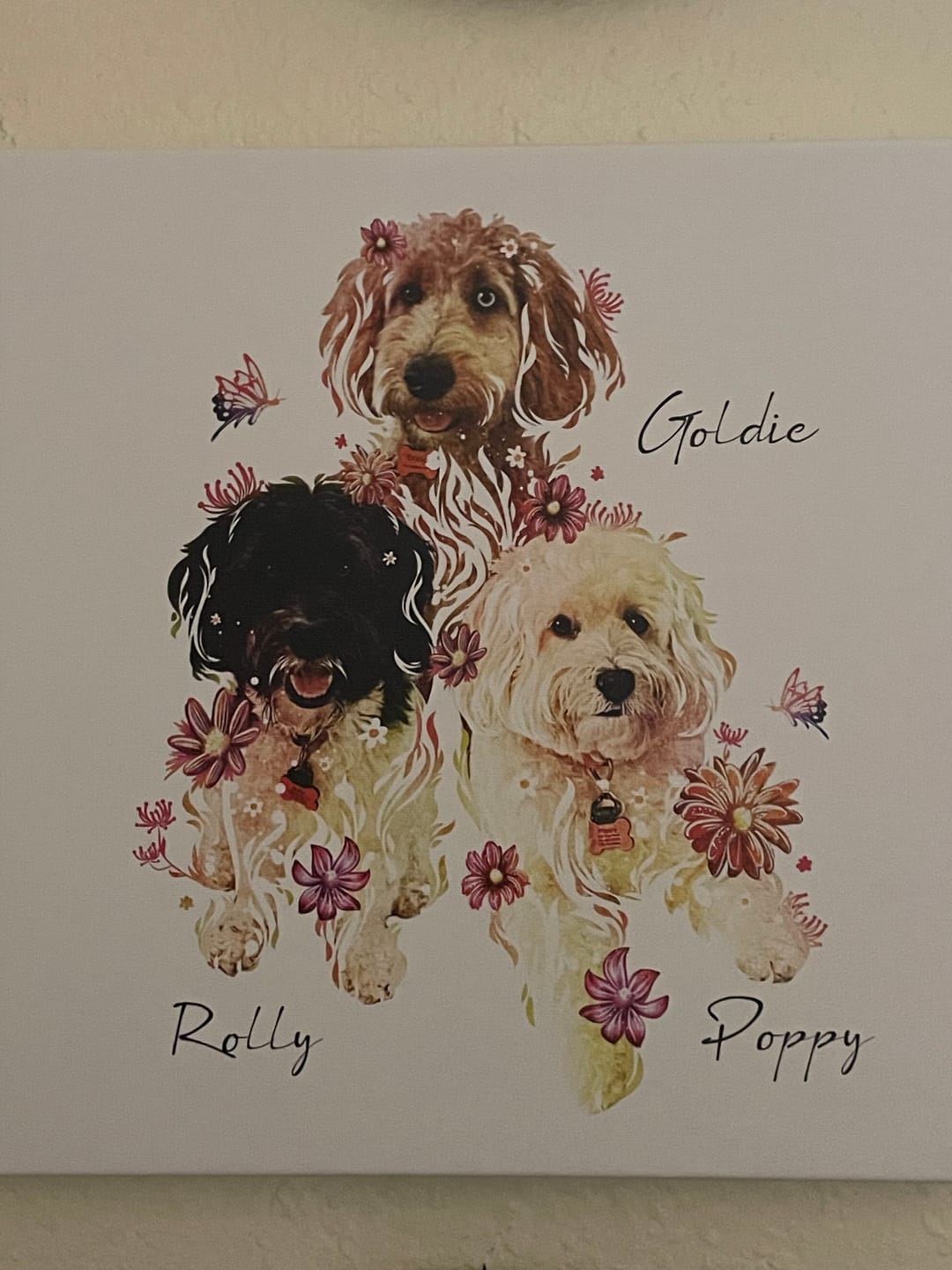 Customer photo review of Flowerpup Custom Pet Portrait (Humans too!)
