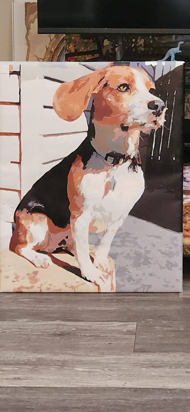 Customer photo review of Paint Your Own Photo