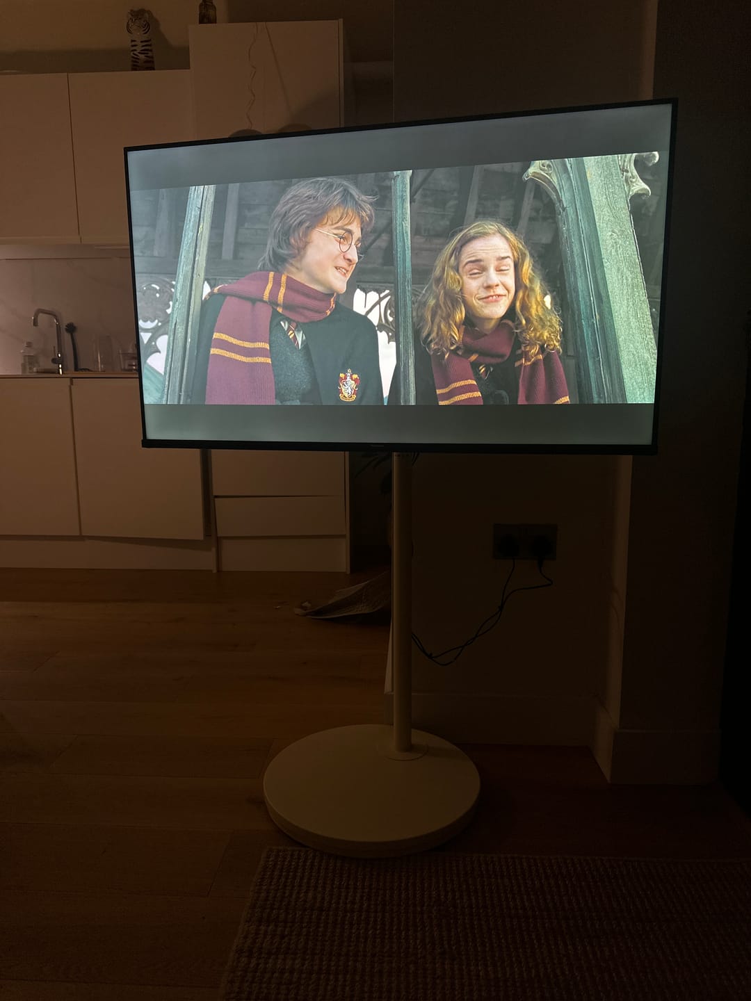 Customer photo review of Master V2 PRO FT48 Floor TV Stand With Wheels