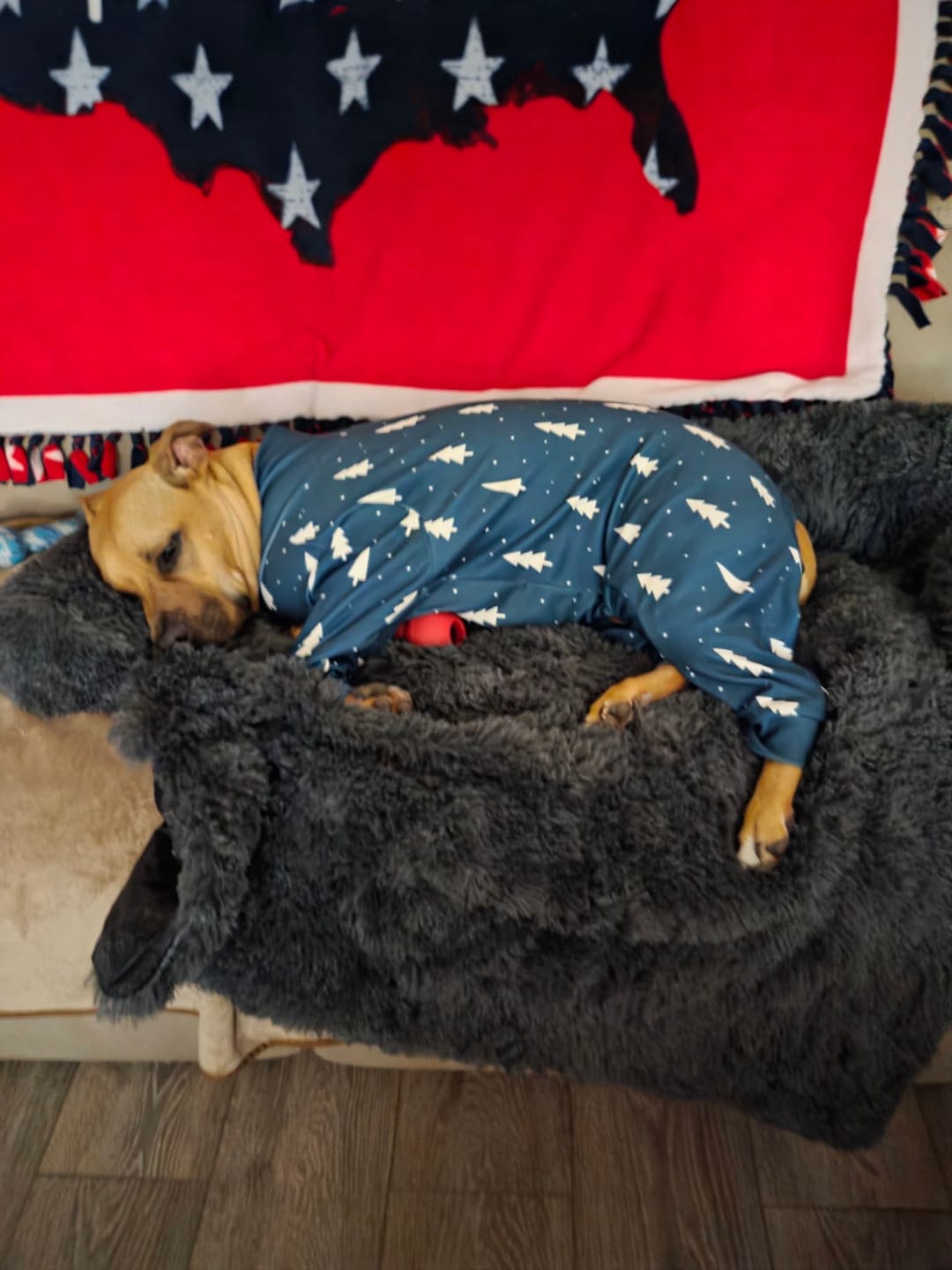 Customer photo review of Dog Christmas Pajama - Frosty Pines
