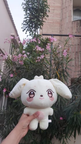 Customer photo review of KPOP Aniteez Doll