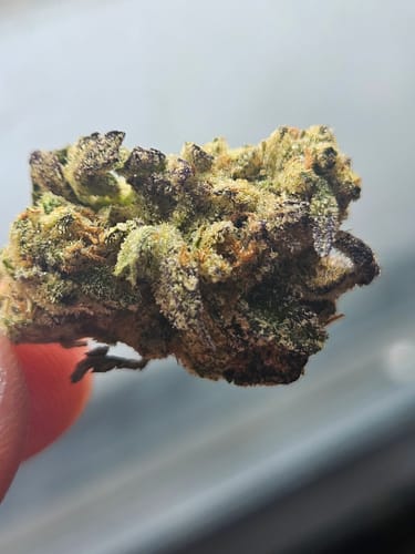 Customer photo review of THCA Queen