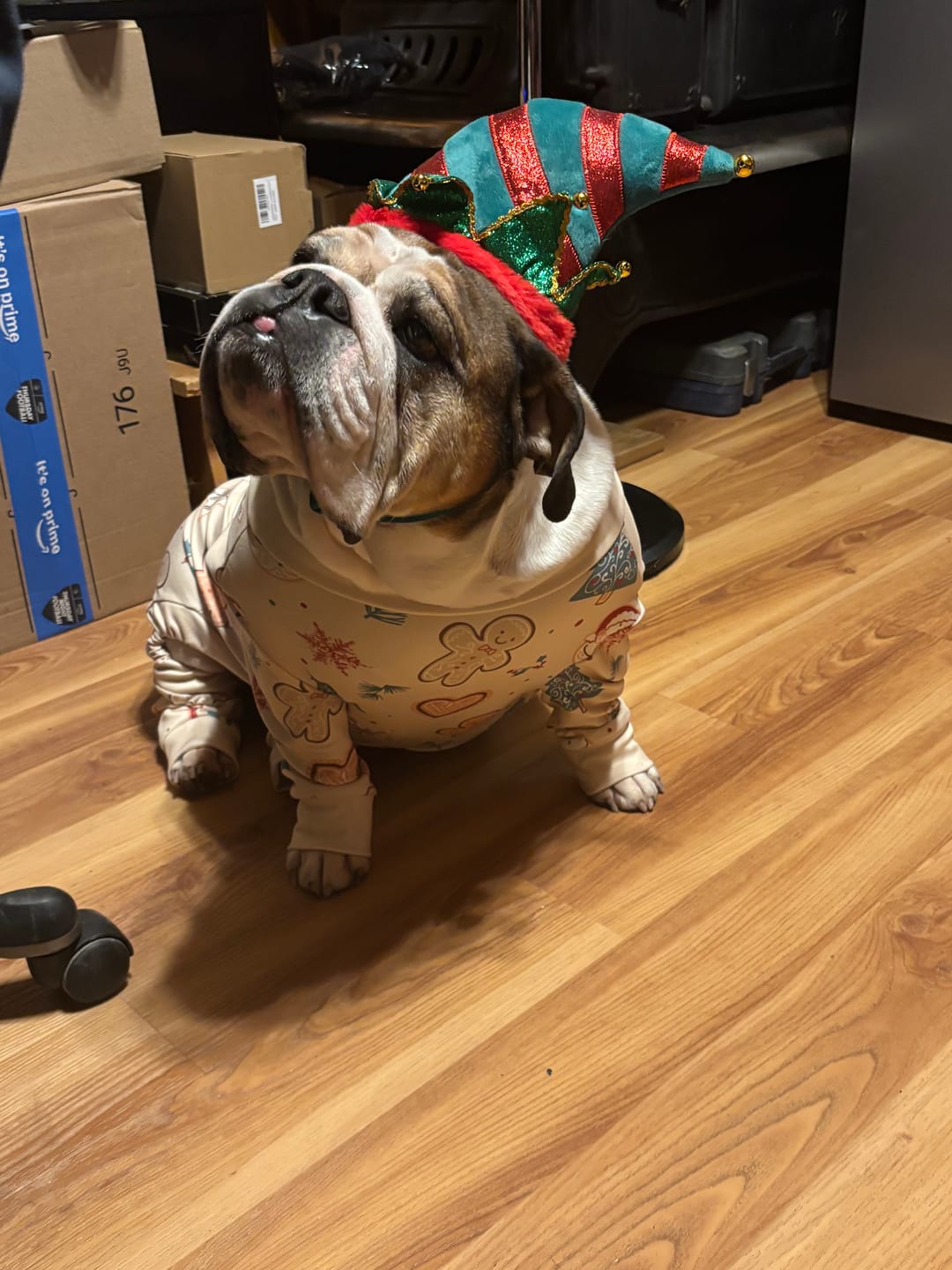 Customer photo review of Dog Christmas Pajama - Frosty Night