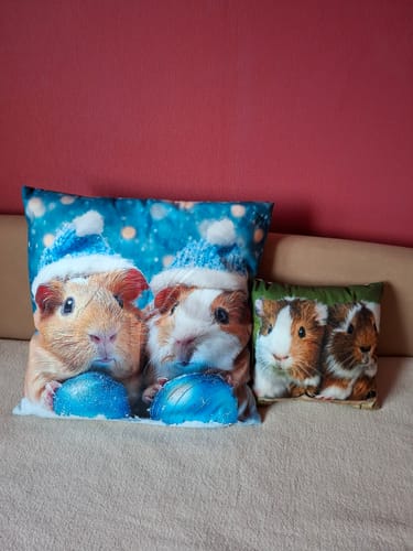 Customer photo review of 🛋️ Kissen „Winterzauber“ – Kuscheliger Winterzauber für dein Zuhause