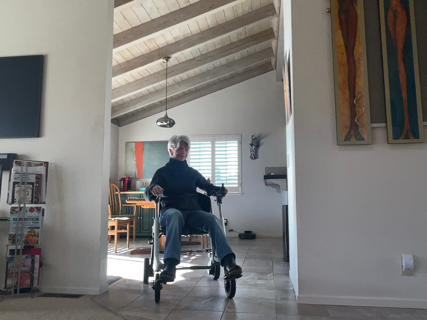 Customer photo review of Roamate Mobility Device: Perfect Travel Companion