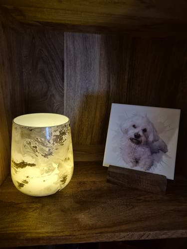 Customer photo review of Tegel met Gepersonaliseerd Huisdier Portret in Aquarelstijl