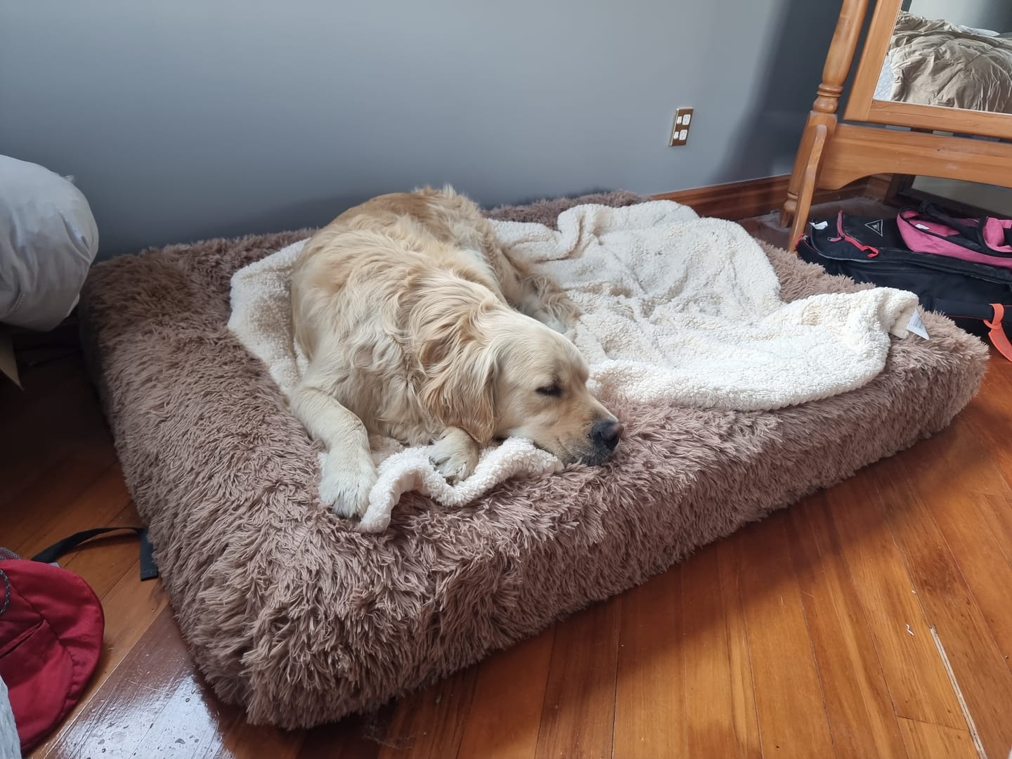 Customer photo review of Orthopaedic Memory Foam Bed