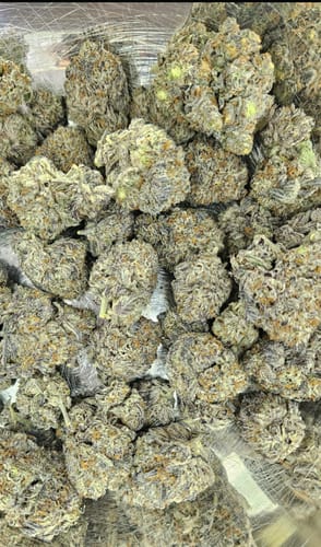 Customer photo review of Gorilla Glue - Bulk - Indica