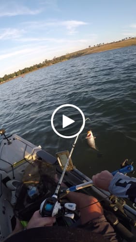 Customer video review of Old Mate Lures - 15ft