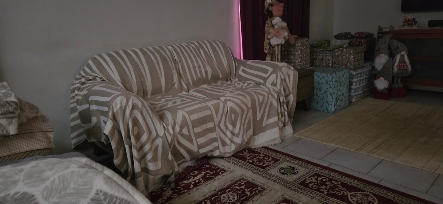 Customer photo review of CouchCare™️ Couch Protector