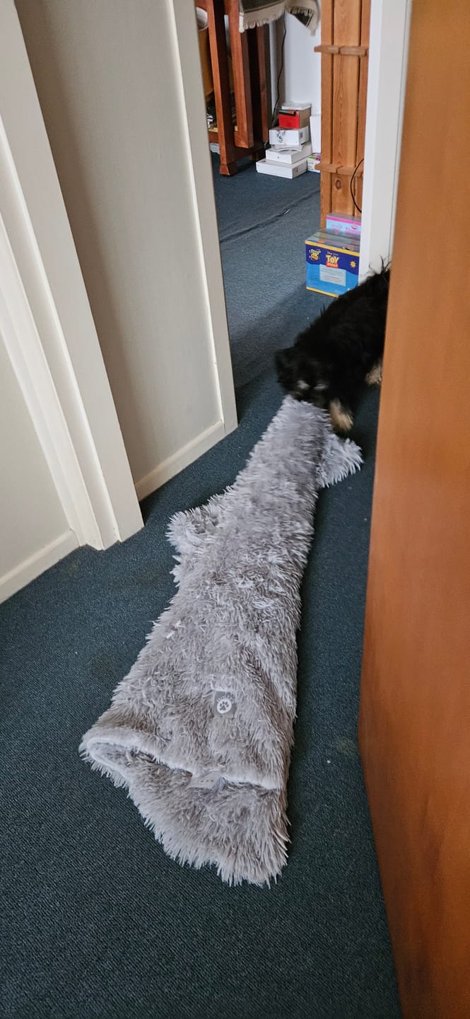 Customer photo review of Matching Calming Blanket