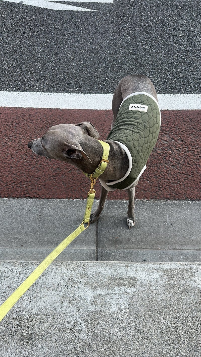Customer photo review of Quilted Vest in Green