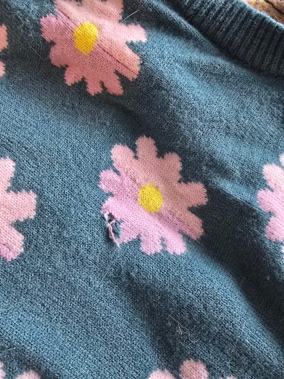 Customer photo review of Flower Knit Dog Sweater