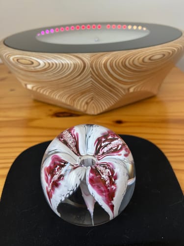 Customer's Flower Paperweight with Cremation Ash. The glass orb has a flower with white and reddish petals inside.