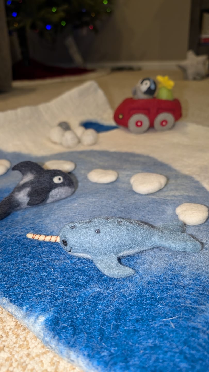 Customer photo review of Felt Small Narwhal Toy