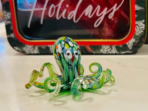 Customer photo review of Glass Octopus, Multi 104