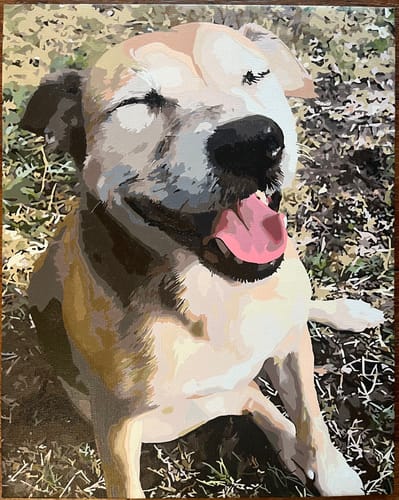 Customer photo review of Custom Paint By Numbers Kit