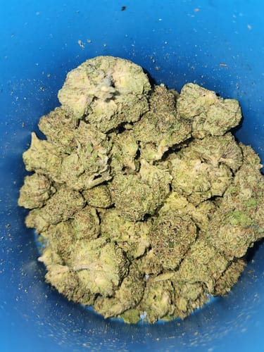 Customer photo review of Shipping Protection by Route