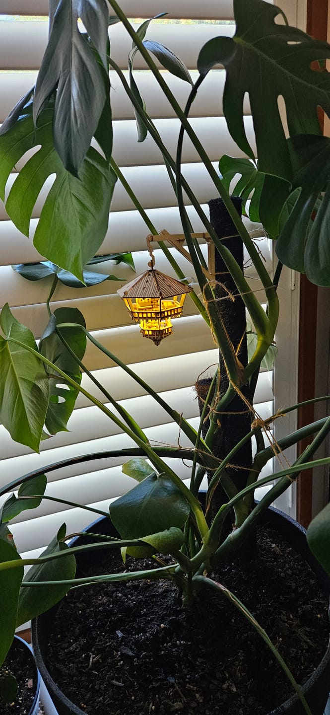Customer photo review of Treetop Hideaway