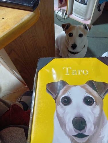 Customer photo review of Petcanva©オーダーメイド ペット似顔絵【3点セット】