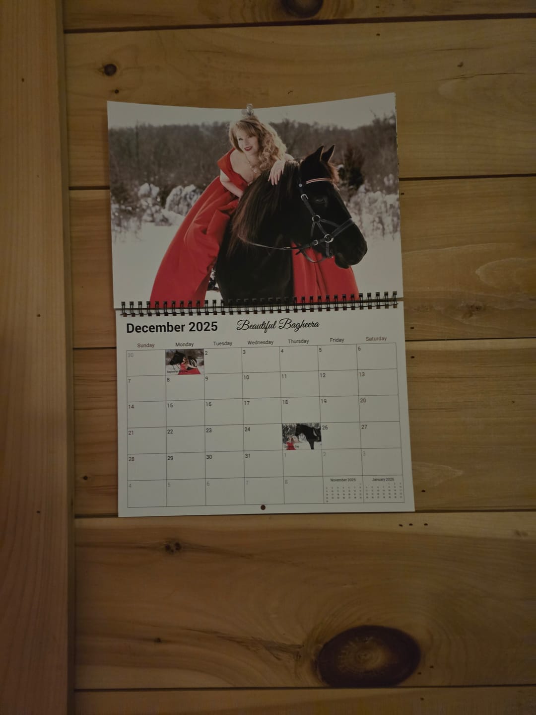 Customer photo review of Pre-Order Free Spirit Equestrian 2026 Calendar