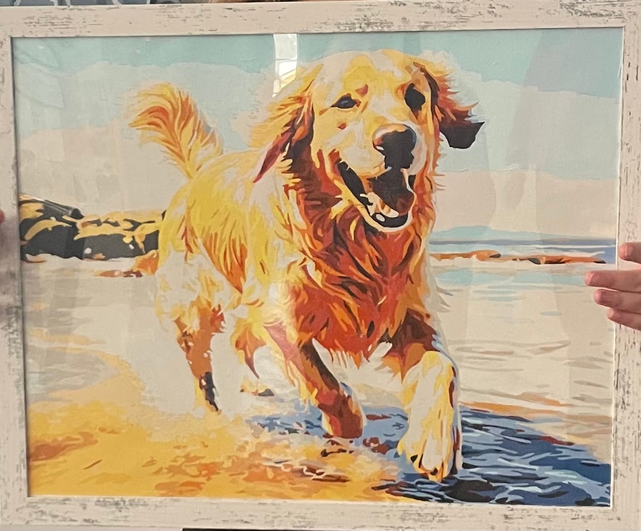 Customer photo review of Beach Day