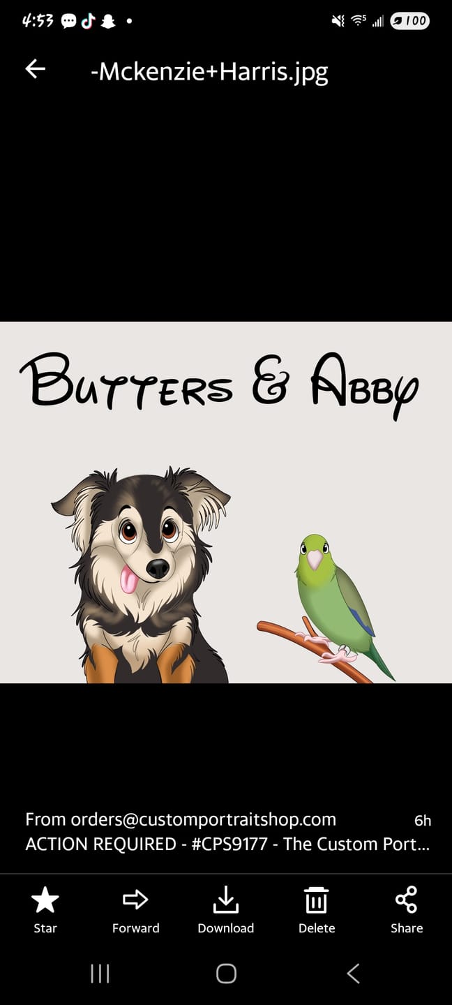 Customer photo review of Disneyfy Pet Cartoon Hand Drawn Portrait