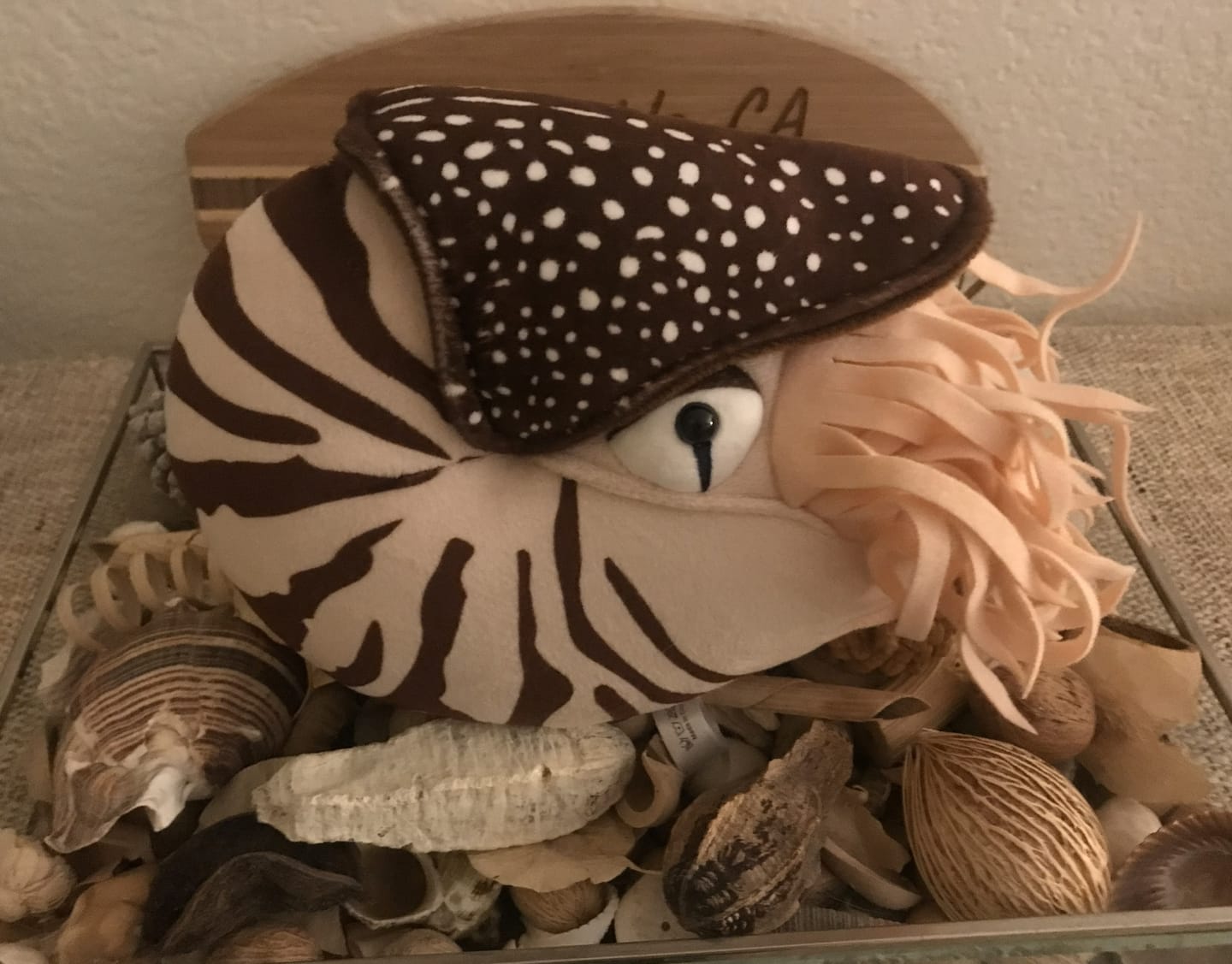 Customer photo review of Nautilus Soft Stuffed Plush Toy