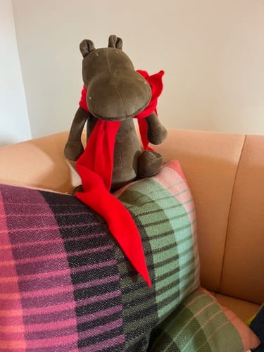 Customer photo review of MOMO, L'HIPPOPOTAME - L