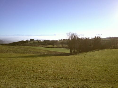 Customer photo review of NUVINT - Digitalkamera