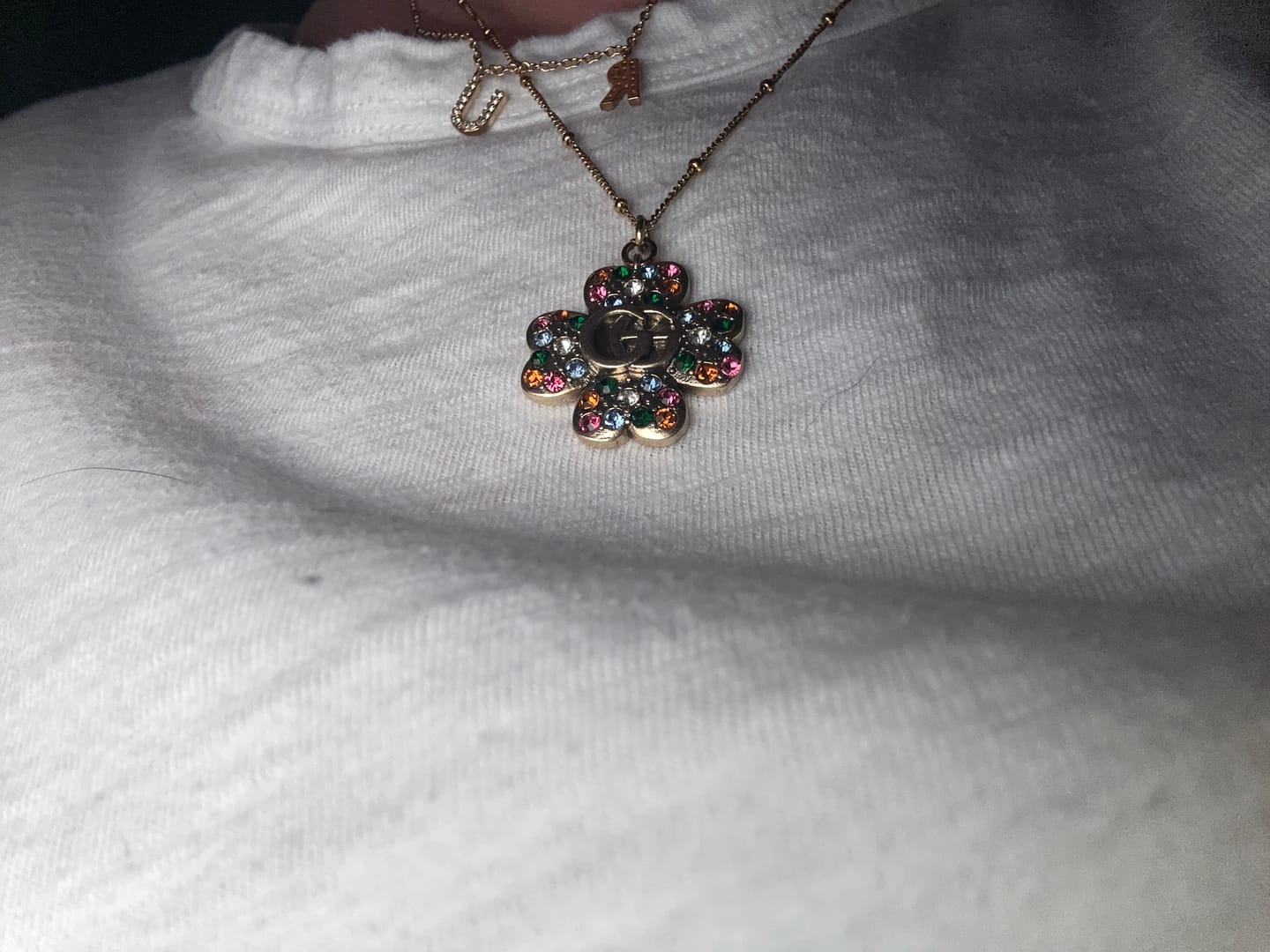 Customer photo review of Fortune Necklace
