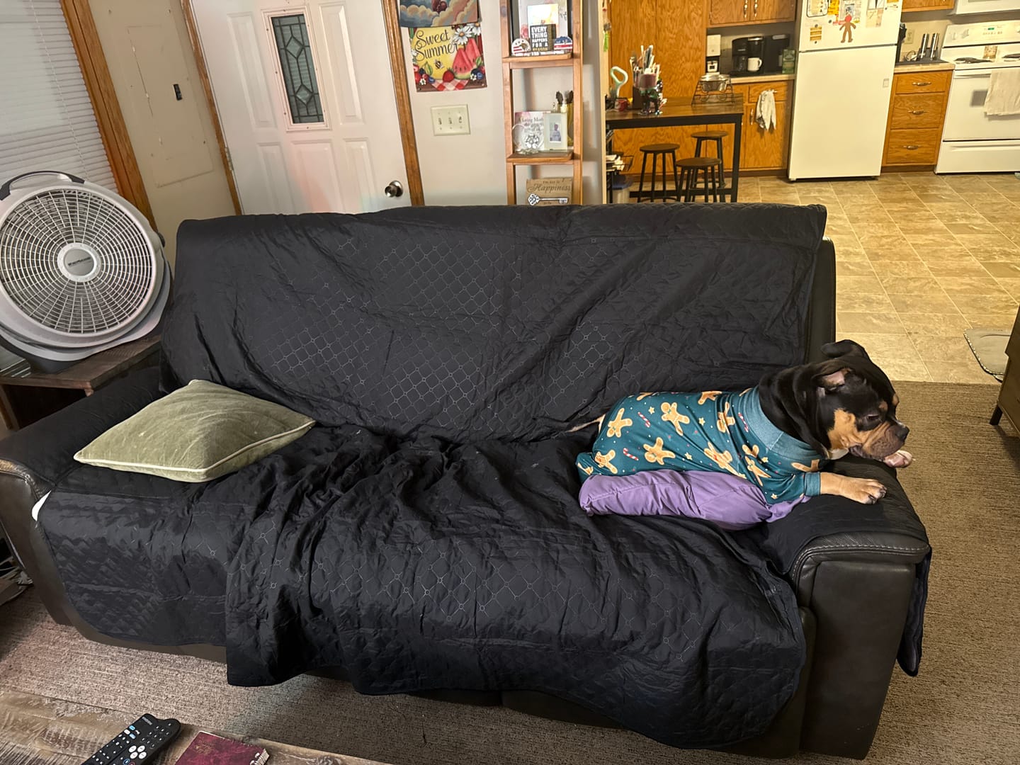 Customer photo review of Classic Machine-Washable, Dryer-Safe Furniture Protector Couch Cover With Side Pockets & Back Straps (+2-In-1 Reversible Colors!)