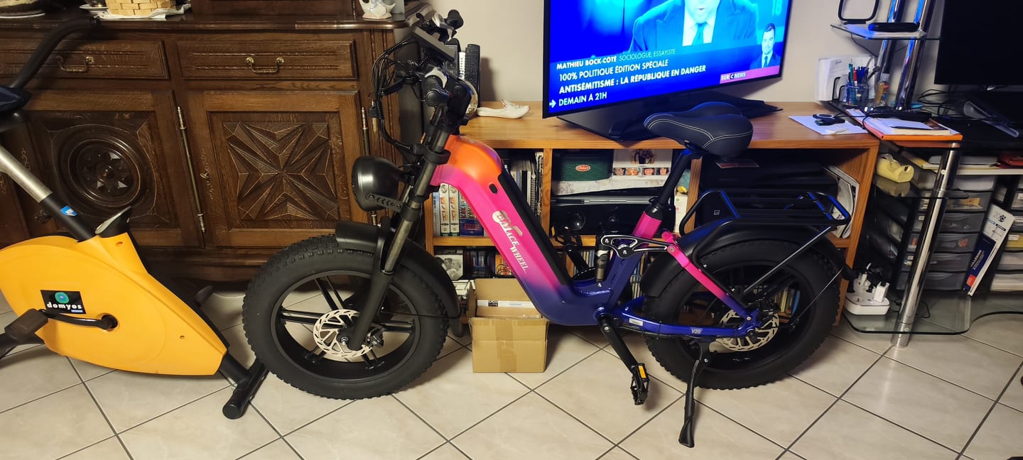 Customer photo review of CMACEWHEEL V20 750W 20" Fat Bike 960Wh Full Suspension E-bike with Torque Sensor 48V 20Ah Battery