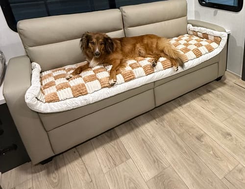 A customer's dog rests comfortably on the checkered 2-in-1 Furniture Protector on a couch inside an RV.